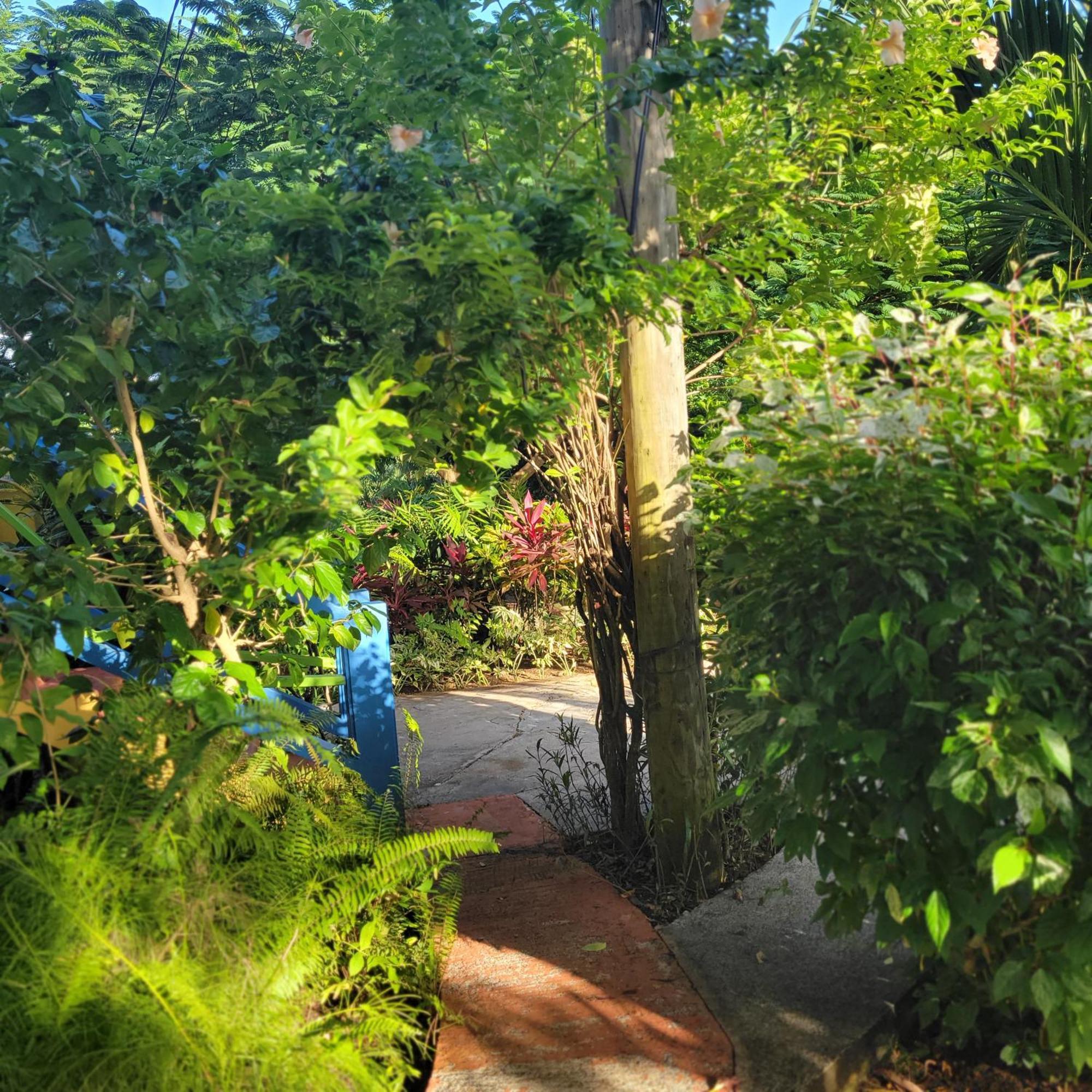 Jacoway Inn Calibishie Bagian luar foto