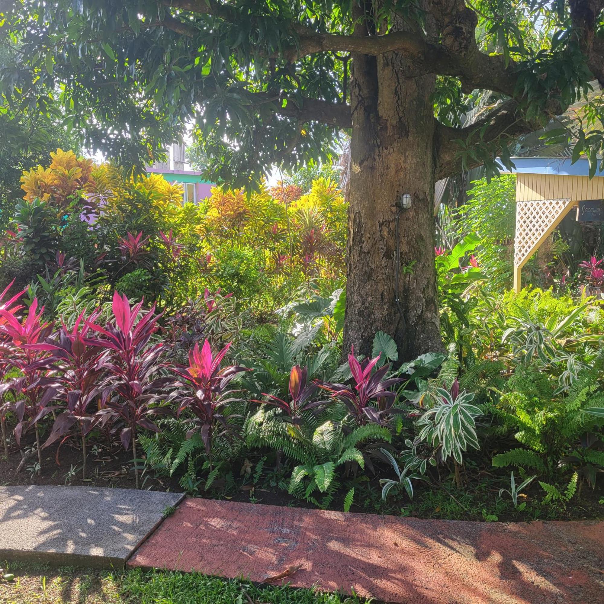 Jacoway Inn Calibishie Bagian luar foto