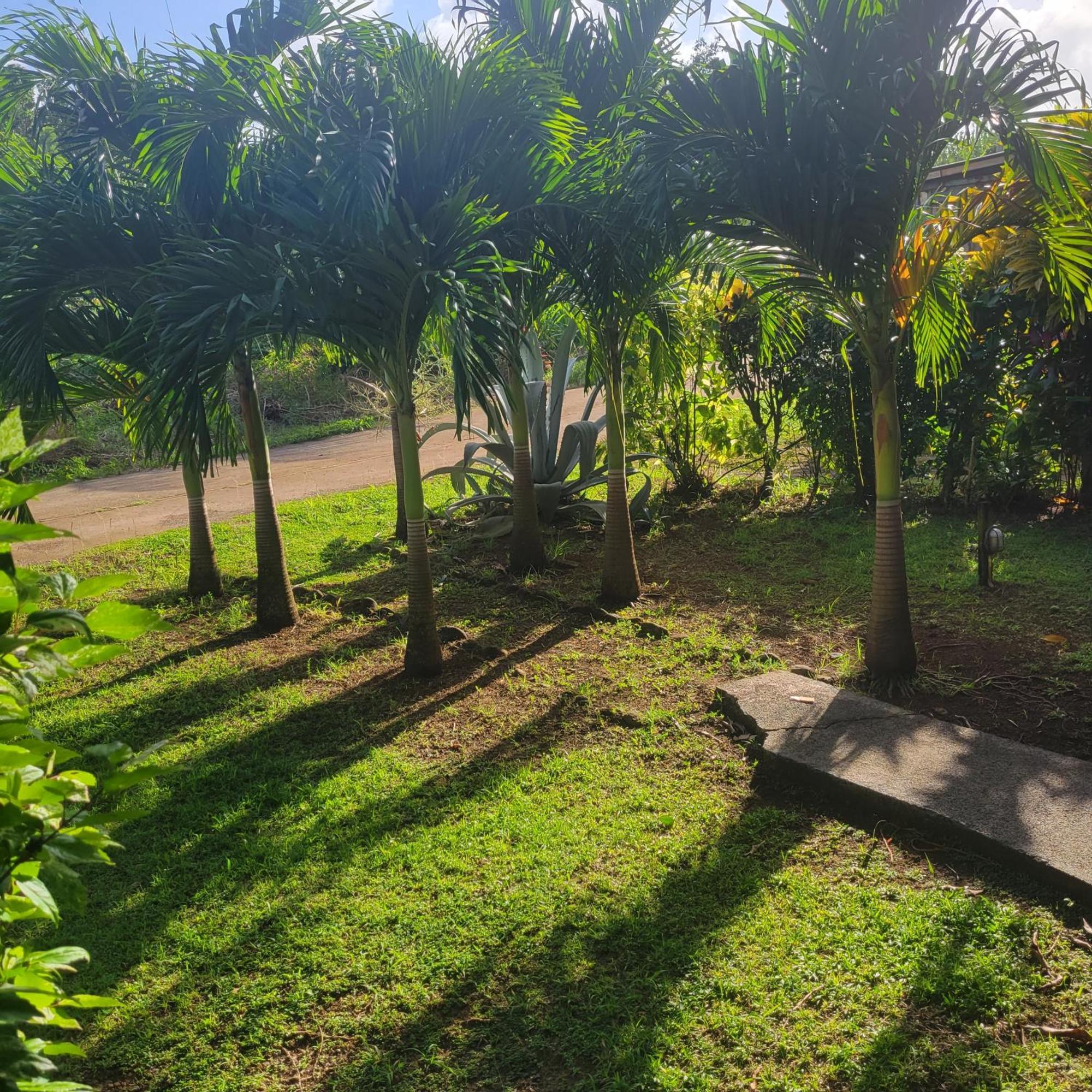 Jacoway Inn Calibishie Bagian luar foto